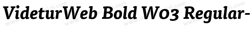 VideturWeb Bold W03 Regular字体转换 VideturWeb Bold W03 Regular字体转换